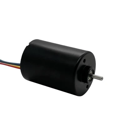 3650 Brushless DC Gear Motor With PWM Speed Control (12V/24V) | PinMotor 3650 Brushless DC Gear Motor With PWM Speed Control (12V/24V) | PinMotor